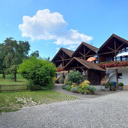Ferienwohnungen Gabi Hermann Bodman-Ludwigshafen Extérieur photo