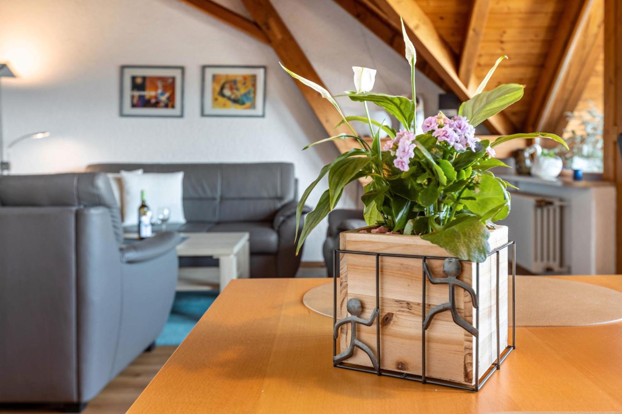 Ferienwohnungen Gabi Hermann Bodman-Ludwigshafen Extérieur photo